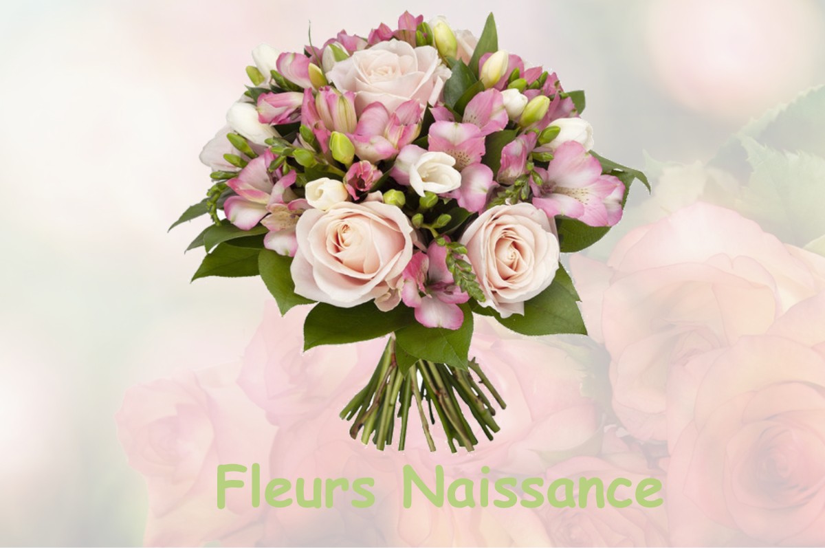 fleurs naissance PIN-BALMA