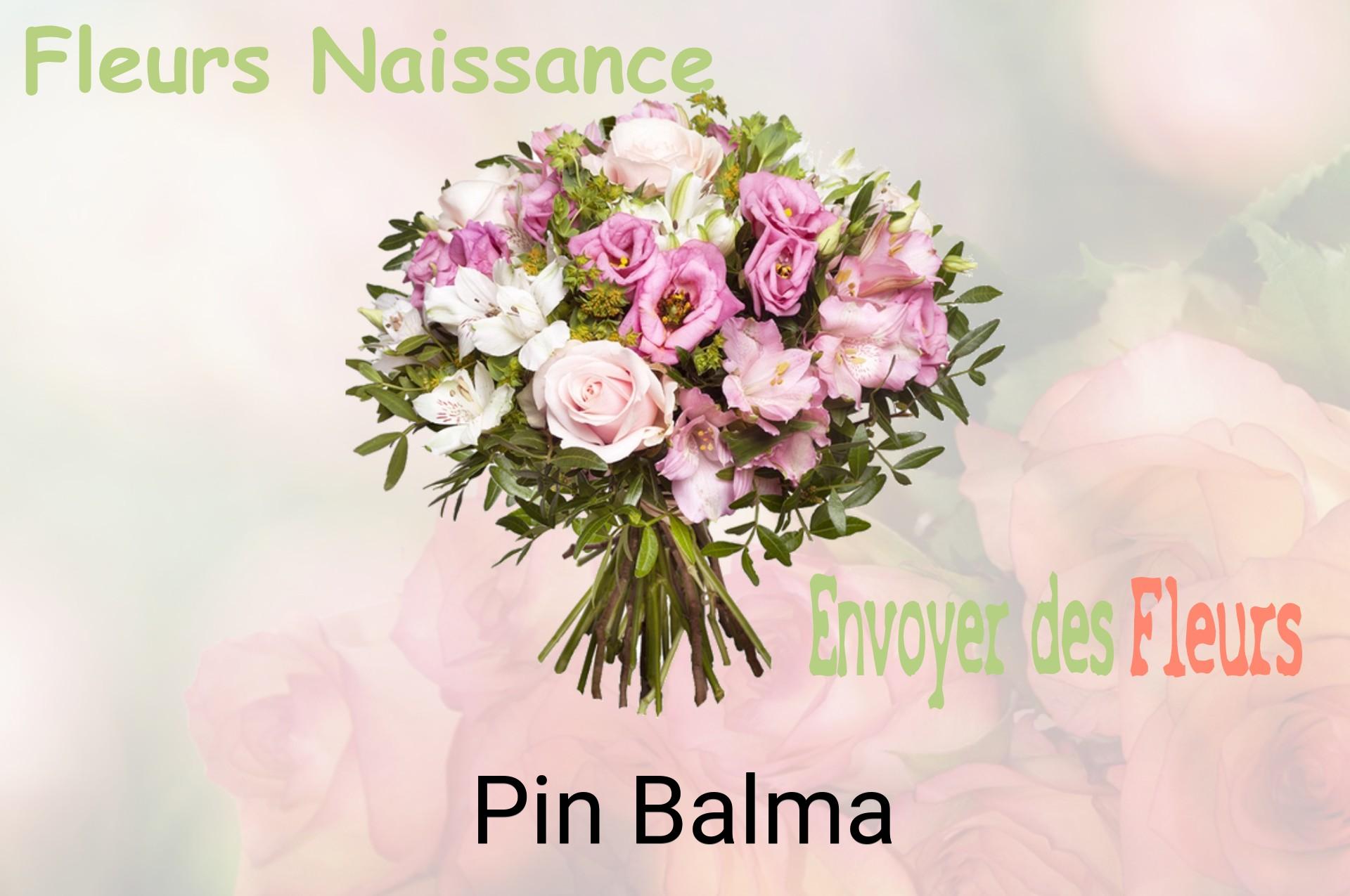 Bouquet de fleurs de naissance livré à Pin-Balma