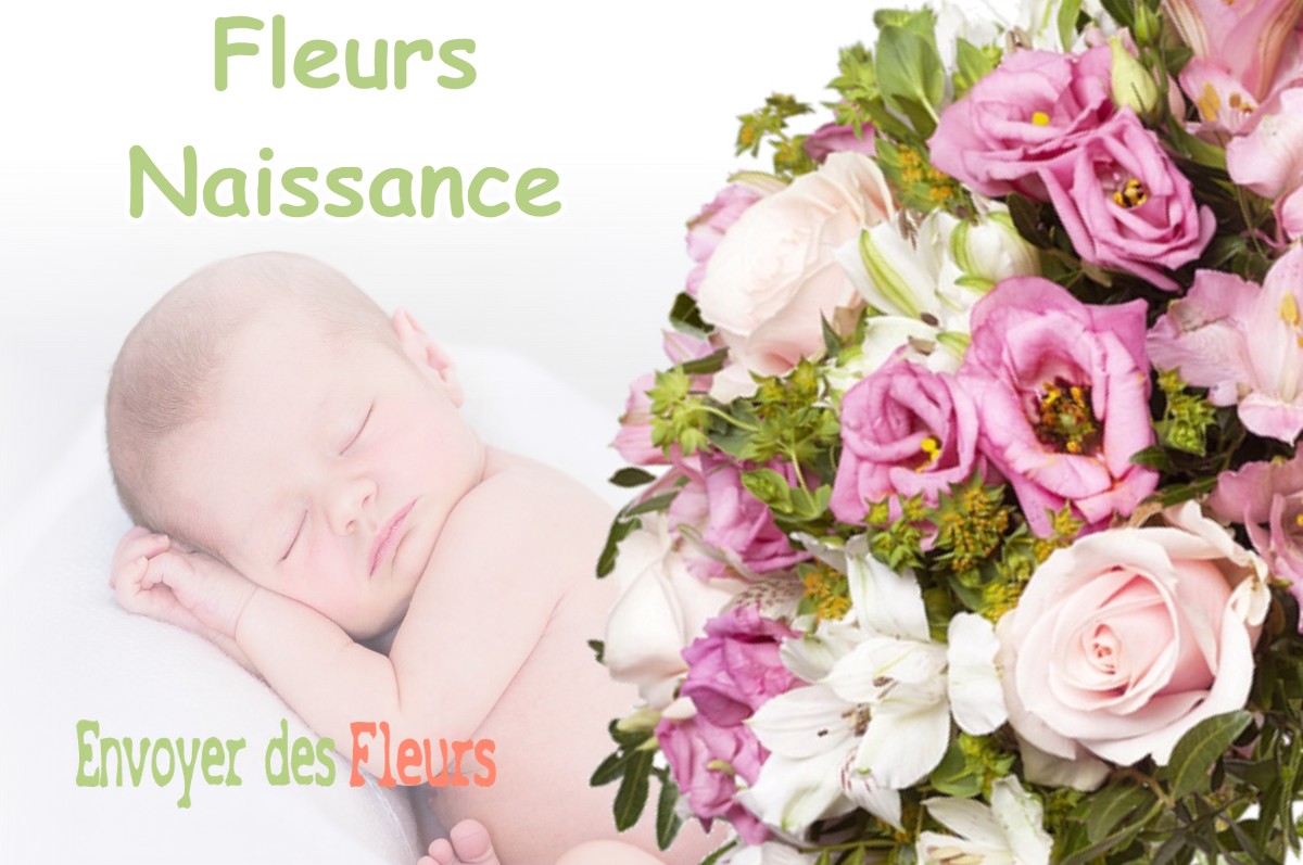 lIVRAISON FLEURS NAISSANCE à PIN-BALMA